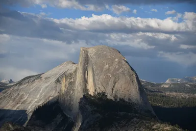 DSC_4188 (Large).JPG